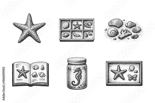 Vintage seashell collection with starfish and seahorse in retro stipple design