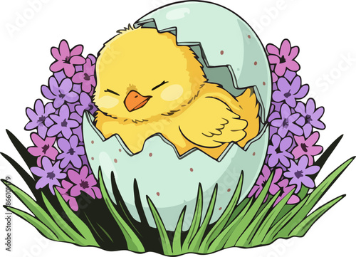 Adorable baby chick inside broken eggshell and spring flowers