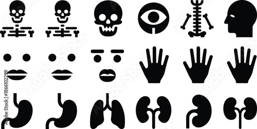 Human anatomy and medical icons set showing skull, skeleton, organs, hands, face elements, healthcare symbols for education, science, and biology design