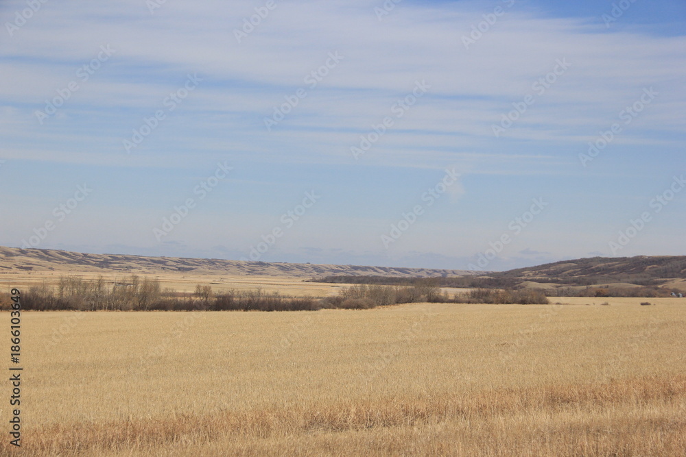 Fototapeta premium Abandoned Things Seen in My Area