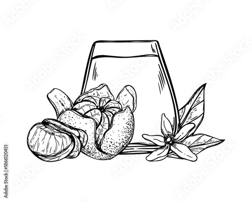 Glass of mandarin juice and tangerine fruit, flower and leaves monochrome vector isolated composition. Sweet smoothie with fresh citrus etching drawing. Non alcohol drink in tumbler and fruits
