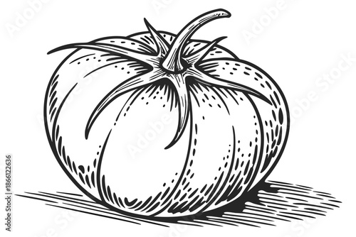 Single tomato on surface isolated on white background, Vector