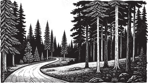 Winding road through a dense forest with tall trees