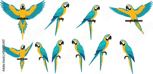 Blue and yellow macaw parrot vector set with flying and perched tropical bird poses