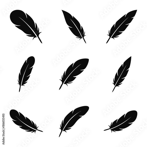 Set of black feather silhouettes on white background