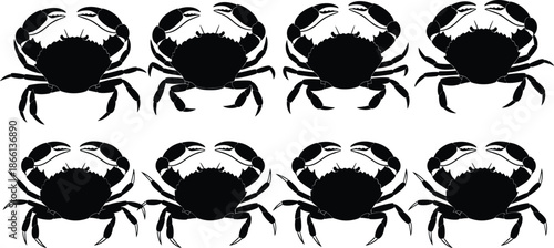 Crab silhouette pattern vector set with repeated marine crustacean shapes isolated on white background illustration