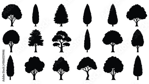 Black tree silhouettes collection with various deciduous and evergreen shapes isolated on white background vector illustration nature design elements set