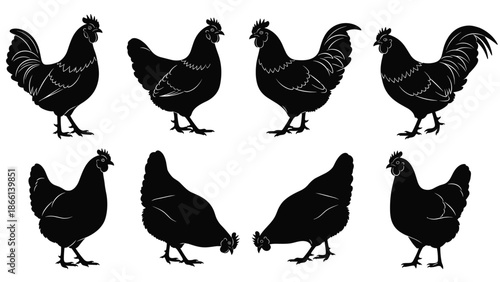 Set of black chicken silhouettes, vector collection isolated farm poultry rooster hen icons rustic agriculture design elements branding illustration projects