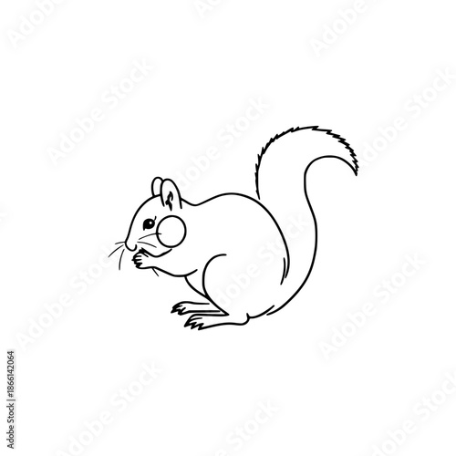 Cute squirrel holding nut in paws, vector illustration, flat design