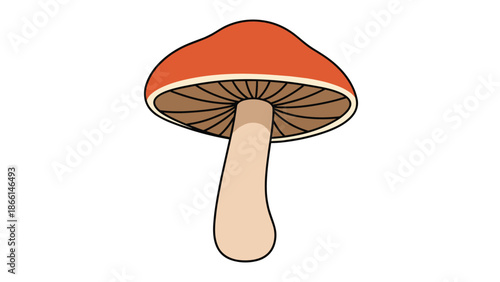 Simple graphic illustration of a single mushroom with a large red cap and a thick stem stands alone on a clean white background for minimalist art.