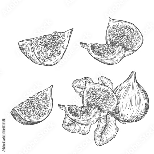 Hand drawn sketch figs black and white vector illustration on white background.