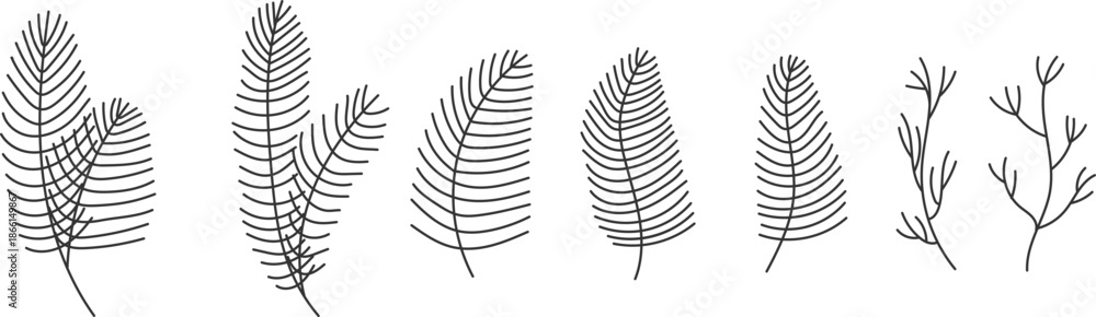 Naklejka premium Hand drawn doodle vector illustration of pine, fir and mistletoe branches in minimalist linear style. Elegant winter botanical elements perfect for Christmas wreaths, holiday decorations, greeting car