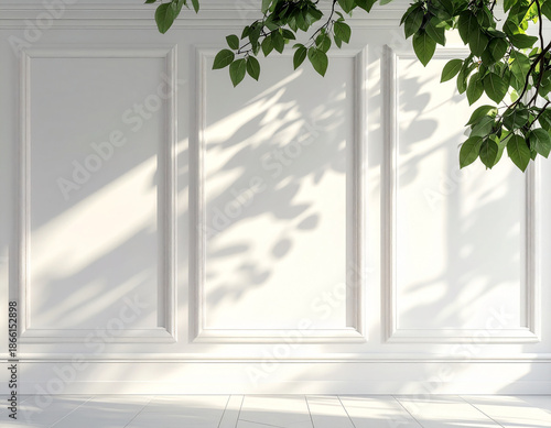 White Wall Texture with Tree Shadows