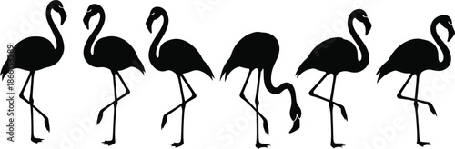 Flamingo bird silhouette vector set with standing and walking poses tropical wildlife black illustrations