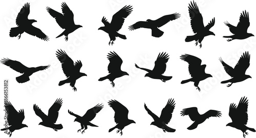  Flying bird silhouette vector set with multiple wing positions dynamic wildlife black aerial poses