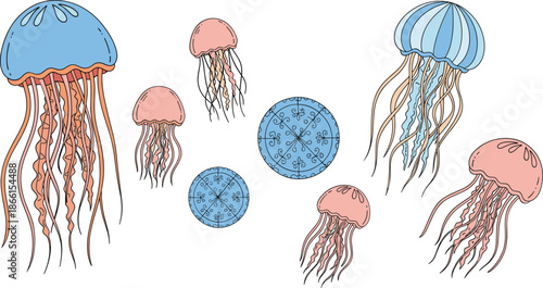 Hand drawn jellyfish cartoon vector set with colorful marine creatures isolated on white background illustration.
