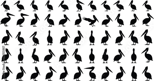  Pelican bird silhouette vector set with multiple standing walking poses coastal wildlife black icons
