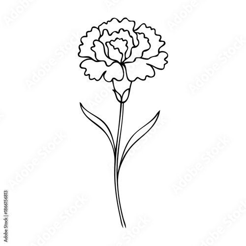 Dibujo de línea continua de clavel o rosa con tallo y hojas	