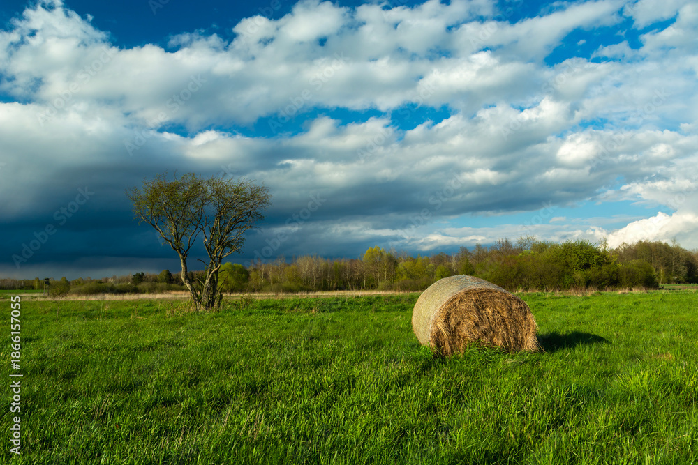 Obraz premium A rain cloud over a meadow with a tree and a bale of hay