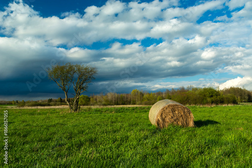 A rain cloud over a meadow with a tree and a bale of hay