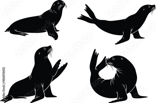 Seal silhouette vector set with swimming sitting and playful poses marine wildlife black icons