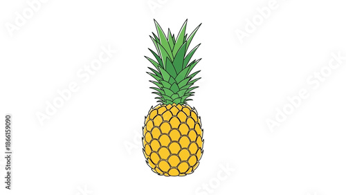 summer vector illustration of a single ripe pineapple