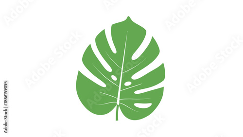 summer vector illustration of a single tropical leaf (monstera)