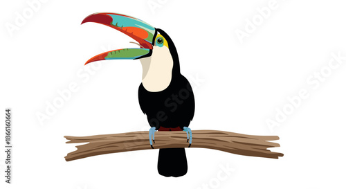 A Toucan Bird Perched on a Branch with its Mouth Open.