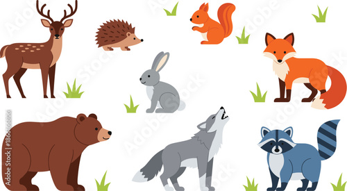 Forest animals cartoon vector set with deer bear fox wolf raccoon and rabbit wildlife illustrations isolated