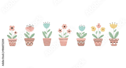 tulip flowers vector illustration