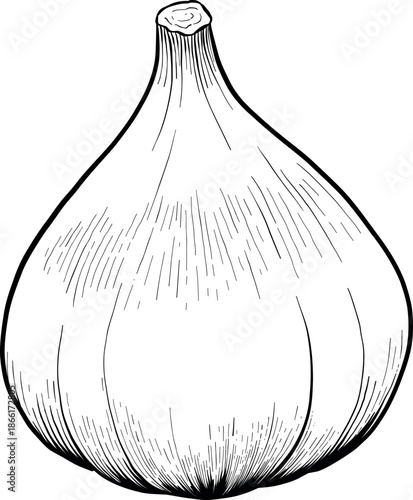 Collection of cheese, brie, camember, parmesan and blue cheese, European cheese assortment, slices, black ink engraving drawing, isolated, transparent. Wine bottle and glass, grape and fig