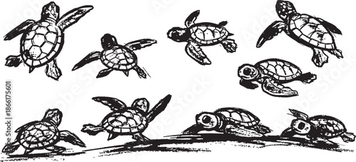 Hand drawn cartoon sea turtles swimming in various playful poses