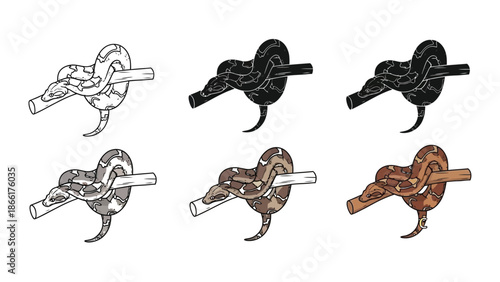 Set of six snake knots tied around a branch or stick in various colors and styles, handdrawn illustration