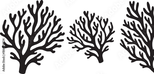 Set of three minimalist coral illustrations with branching structures