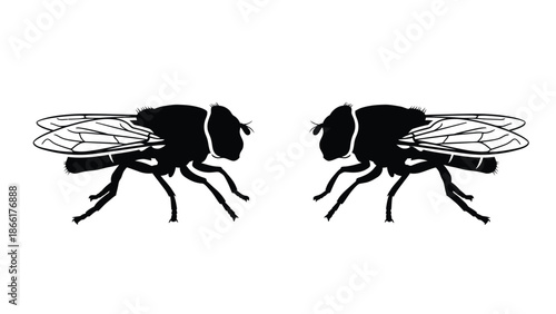 Two black silhouettes of common house flies facing opposite directions