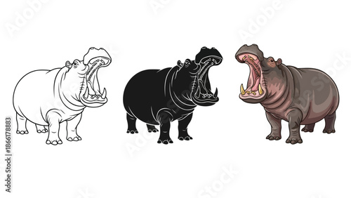 Set of three hippopotamus illustrations showing outline, silhouette and realistic color versions