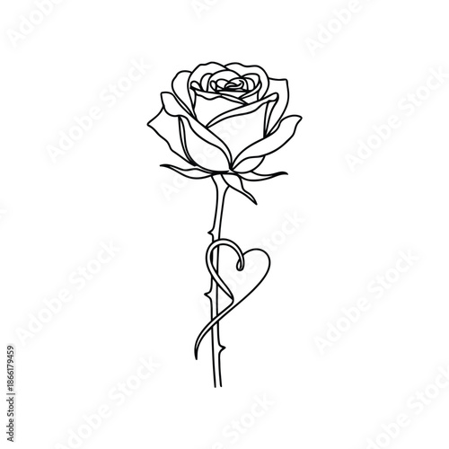 A delicate line drawing of a rose with a heart shaped stem