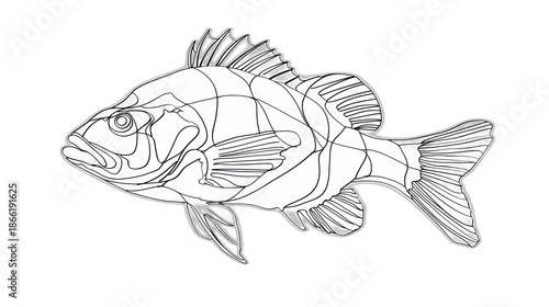 minimalist continuous line fish drawing on white background