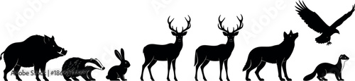 Wild forest animals silhouette collection including deer wolf boar rabbit eagle isolated black vector illustration set for nature design