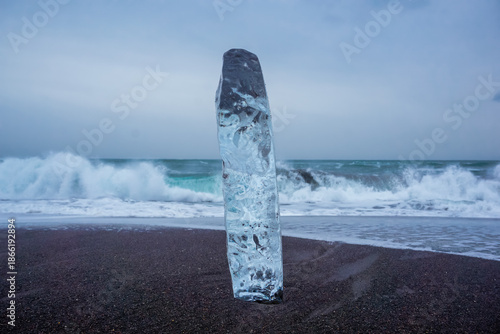 A block of ice off the Pacific coast