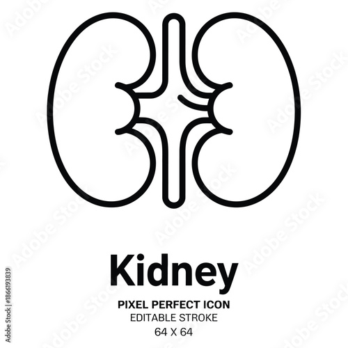 Kidney anatomy icon for medical and health related designs
