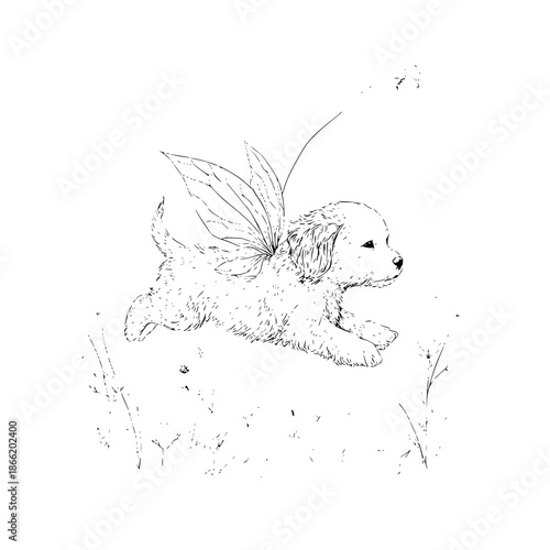 What possibilities does a pure black background offer for design?