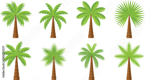 Palm Tree Vector Illustration Set with Tropical Coconut Palms in Different Shapes for Summer, Beach, Island, and Nature Design Projects