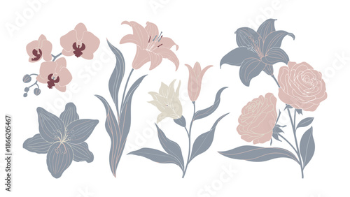 Floral elegance: A delicate composition showcases a collection of diverse floral illustrations, each exuding unique charm and elegance through graceful lines, forms, and hues. 
