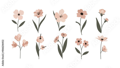 Botanical Harmony: A delicate illustration featuring an array of meticulously crafted floral arrangements, showcasing various blooming flower in soft, natural hues. 