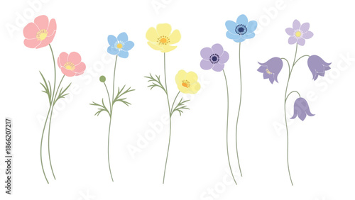 Vibrant Floral Symphony: Delicate blossoms in a spectrum of colors grace a bright, inviting composition. The blossoms appear light and airy, creating a fresh, cheerful atmosphere.