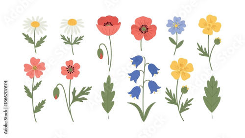 Floral Symphony: An array of vibrant wildflowers showcase a medley of colors and forms, offering a visual ode to the captivating elegance of the natural world.