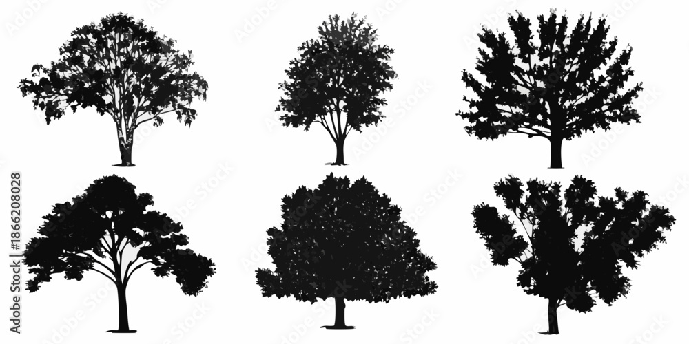 Fototapeta premium Silhouettes of various deciduous trees against a plain white background