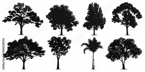 Collection of diverse tree silhouettes against a plain white background