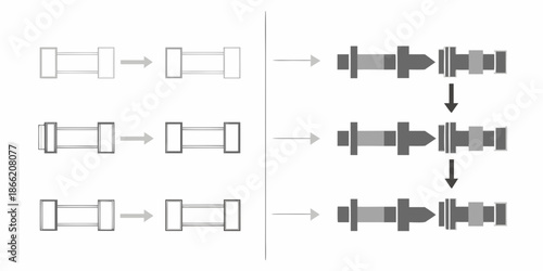 Diagram illustrating the process of chromosome segregation and cell division stages
